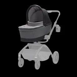 Carriage Accessory
