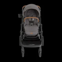 Chive Single to Double Stroller