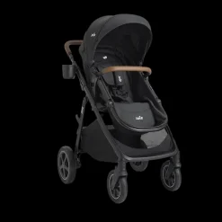 Ginger DLX And Rue Travel System