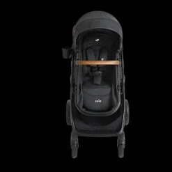 Ginger DLX And Rue Travel System