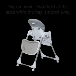 Grow & Go High Chair
