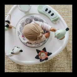 5-in-1 Stationary Activity Center