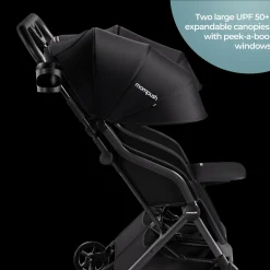 Lithe Double Stroller