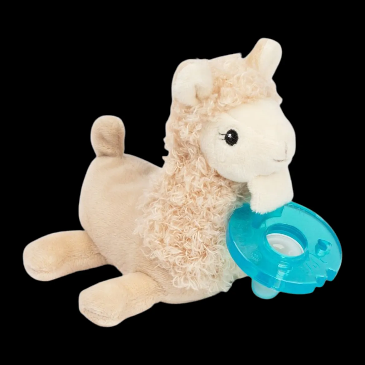 Pacifier
