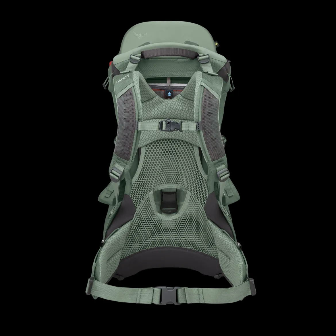 Poco Child Carrier