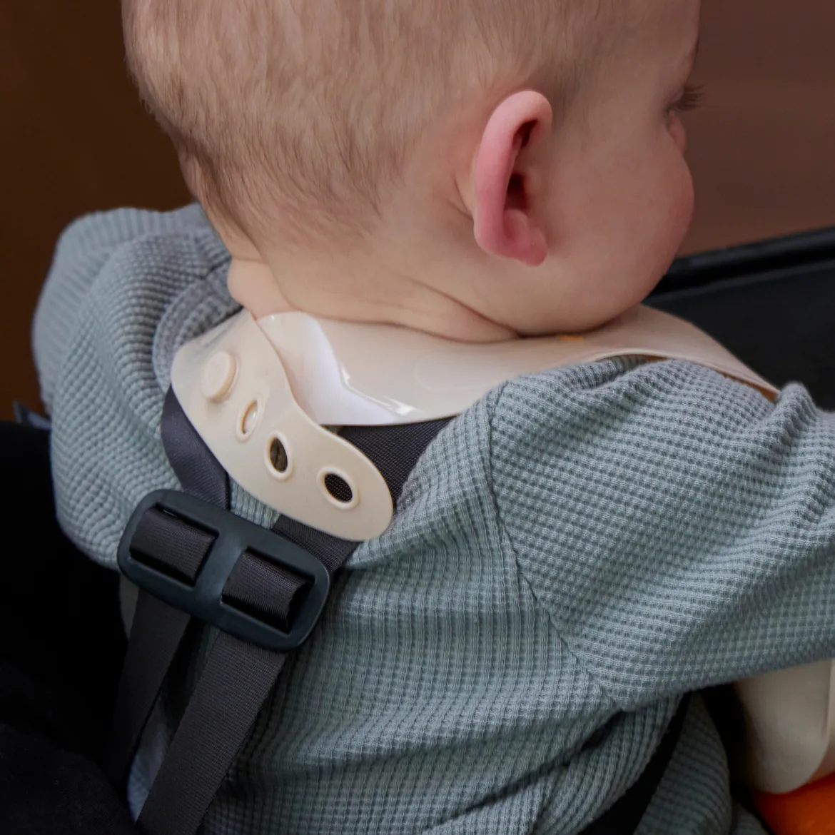 The Bib