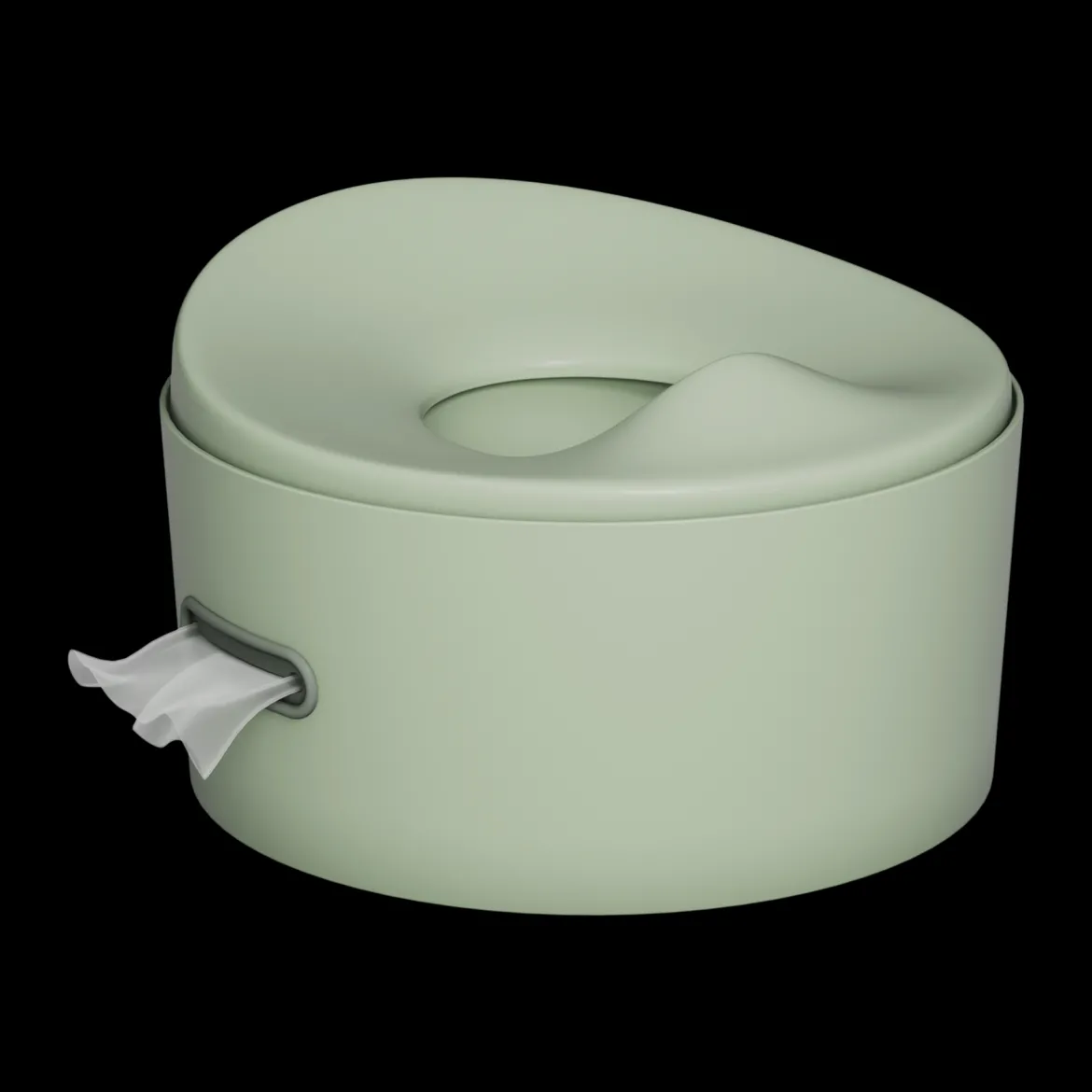 The 3-in-1 Potty