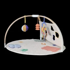 The Play Gym II