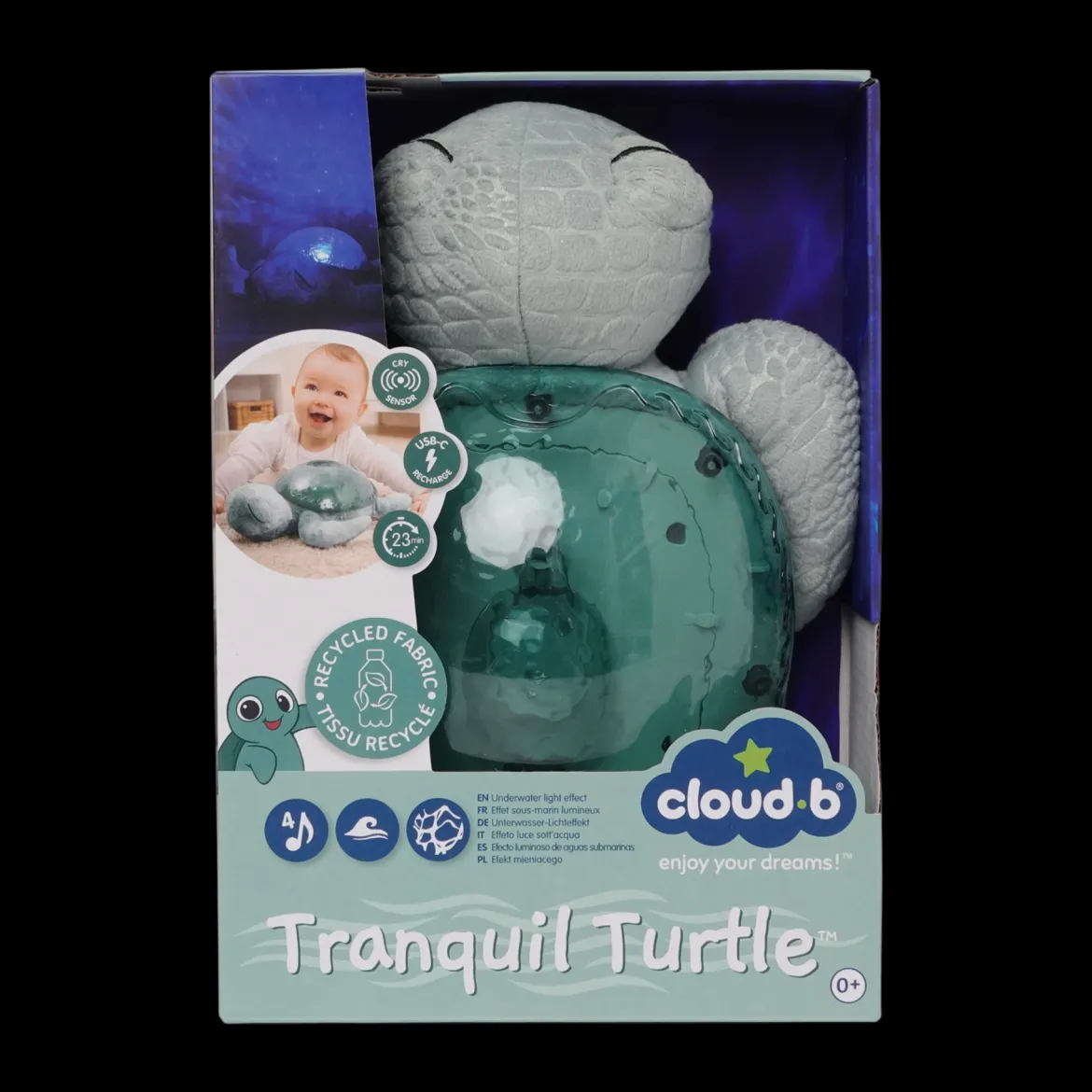 Tranquil Turtle