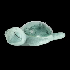 Tranquil Turtle