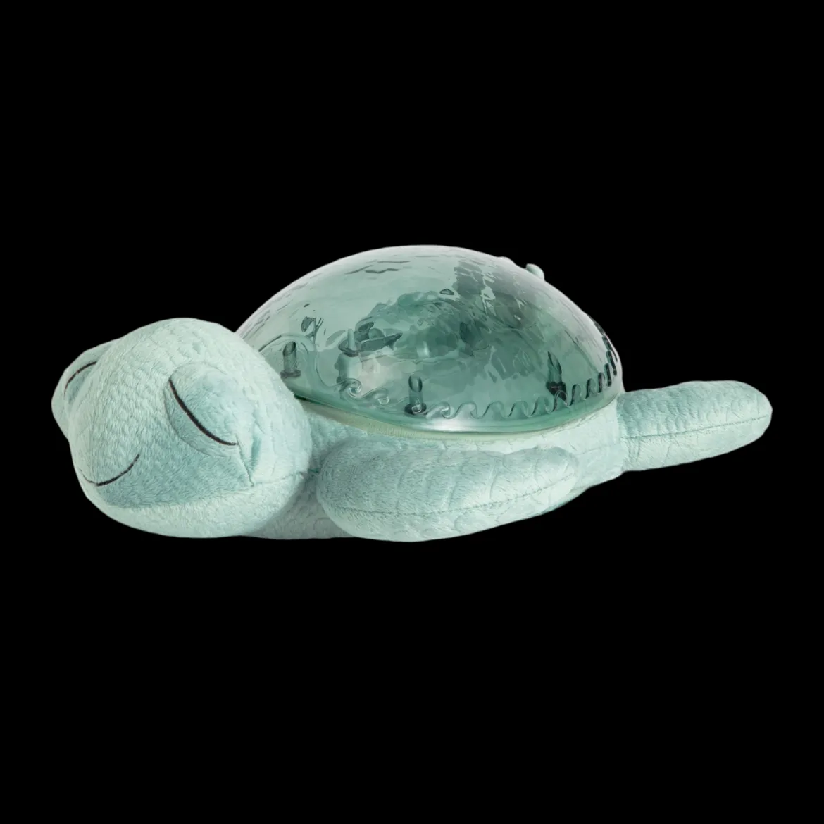Tranquil Turtle