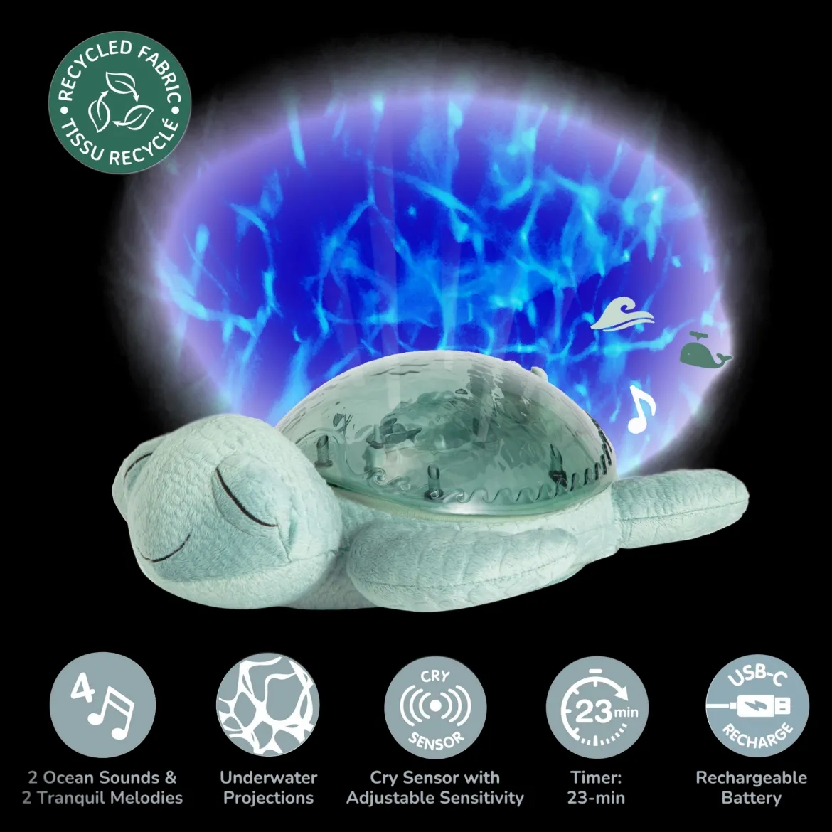 Tranquil Turtle