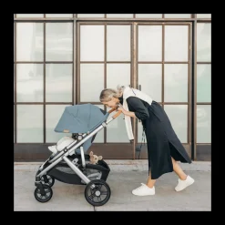 Vista V3 Stroller